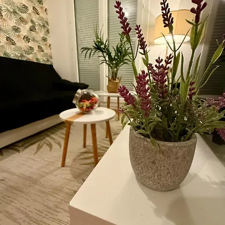 Apartamento L'ecrin